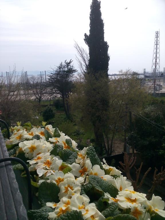 Pendik Marine Hotel Istanbul Exterior foto